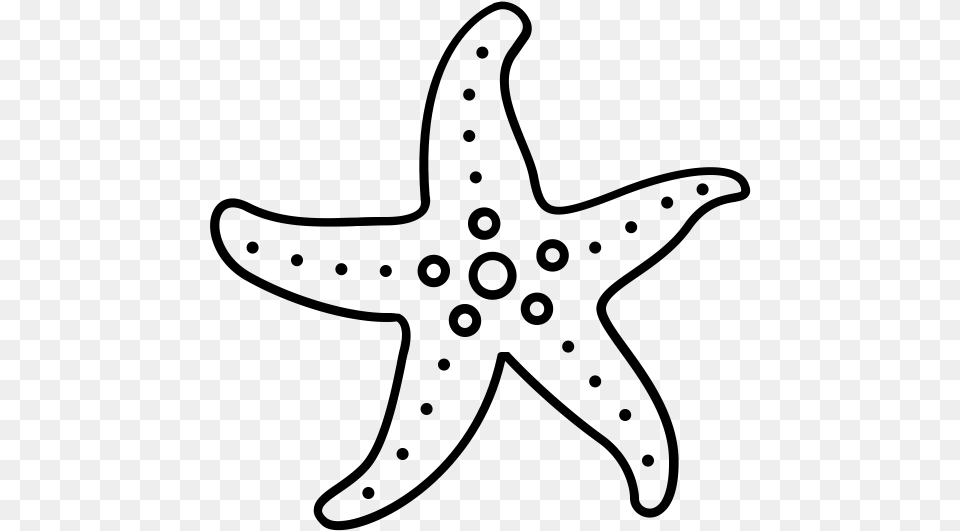 Class Lazyload Lazyload Mirage Cloudzoom Featured Image Starfish, Gray Free Transparent Png