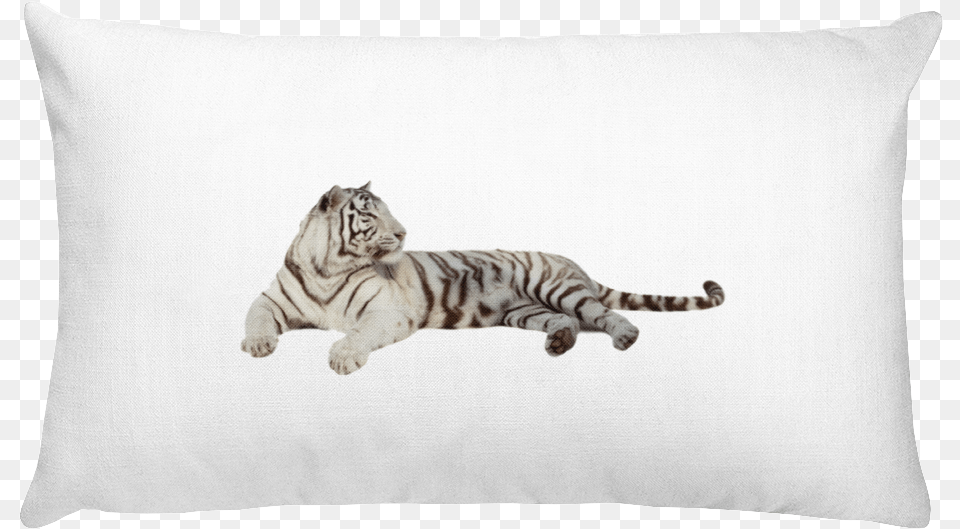 Class Lazyload Lazyload Mirage Cloudzoom Featured Image White Rectangular Pillow, Animal, Cushion, Home Decor, Mammal Png