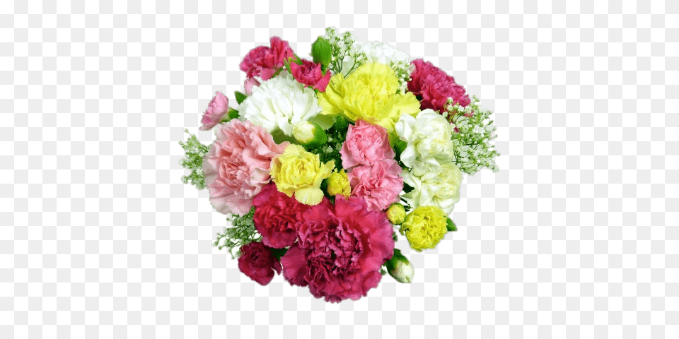 Classic Carnations Bouquet, Carnation, Flower, Flower Arrangement, Flower Bouquet Png