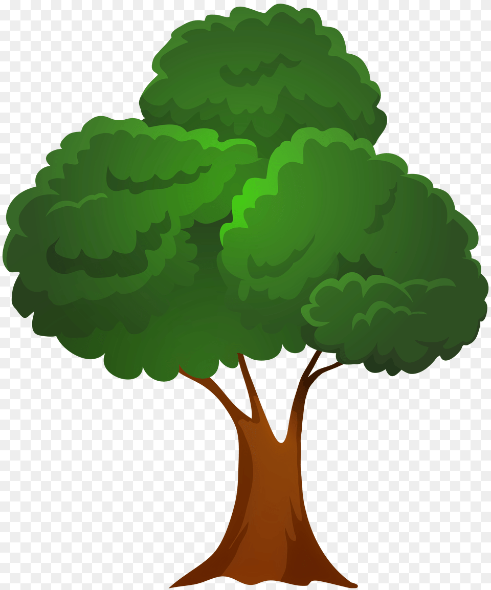 Classic Green Tree Clip Art, Plant, Vegetation, Oak, Sycamore Free Png Download