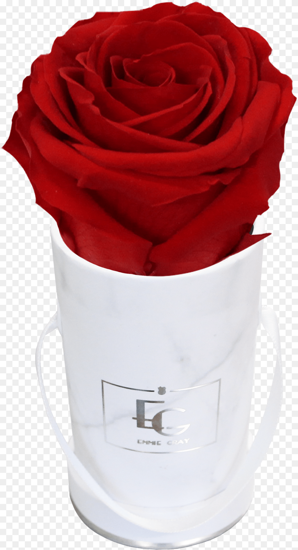 Classic Infinity Rosebox Emmie Gray Rose, Flower, Plant, Bucket, Flower Arrangement Free Transparent Png