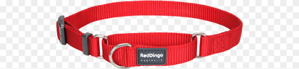 Classic Martingale Dog Collar Red Dingo Mc Zz Re Sm Martingale Dog Collar Classic, Accessories, Crib, Furniture, Infant Bed Png