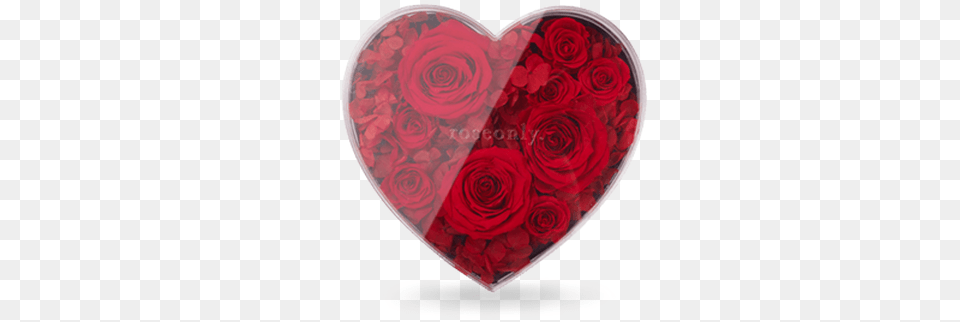 Classic Rose Heart Heart, Symbol Free Transparent Png