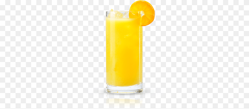 Classic Screwdriver New Amsterdam Screwdriver Drink Transparent Background, Beverage, Juice, Orange Juice, Food Free Png