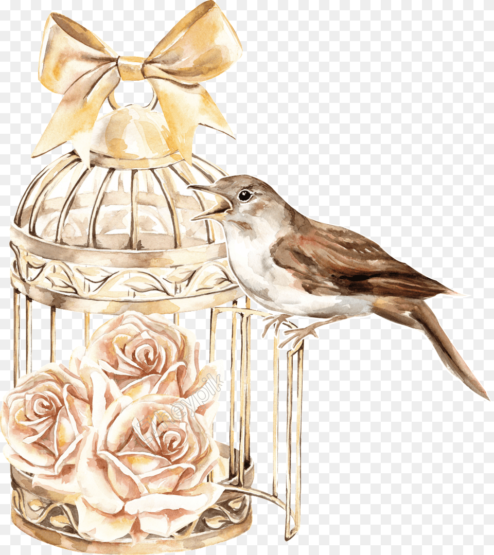 Classical Bird Cage Plant Birdcage Anime, Animal, Finch, Anthus, Sparrow Png