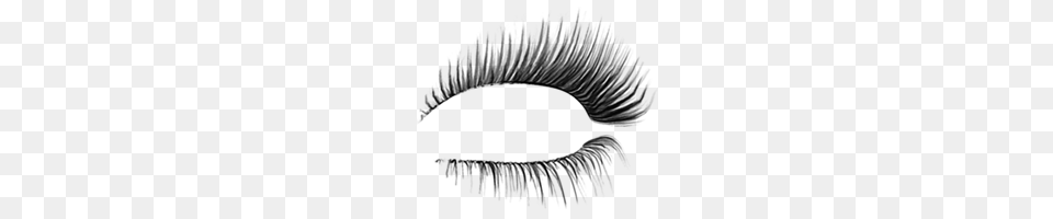 Classis Eyelash, Cosmetics, Mascara Png Image