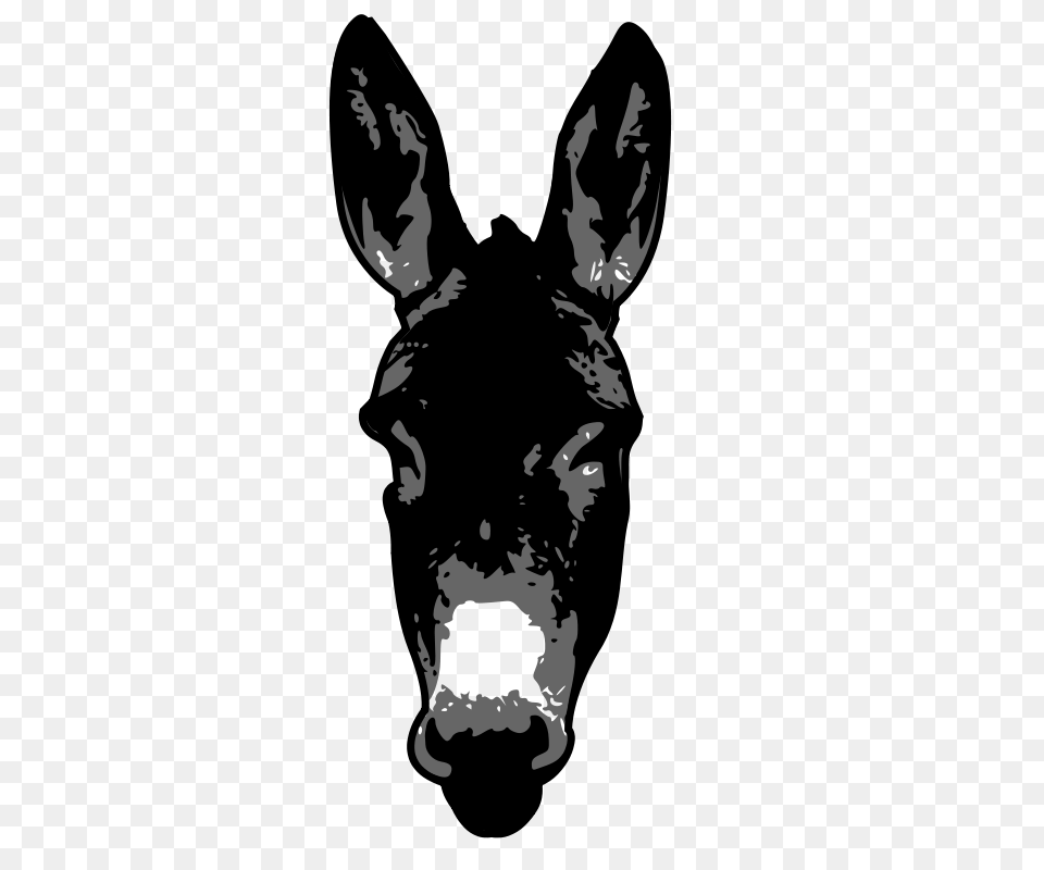 Claudita Donkey, Stencil, Person, Animal, Mammal Png