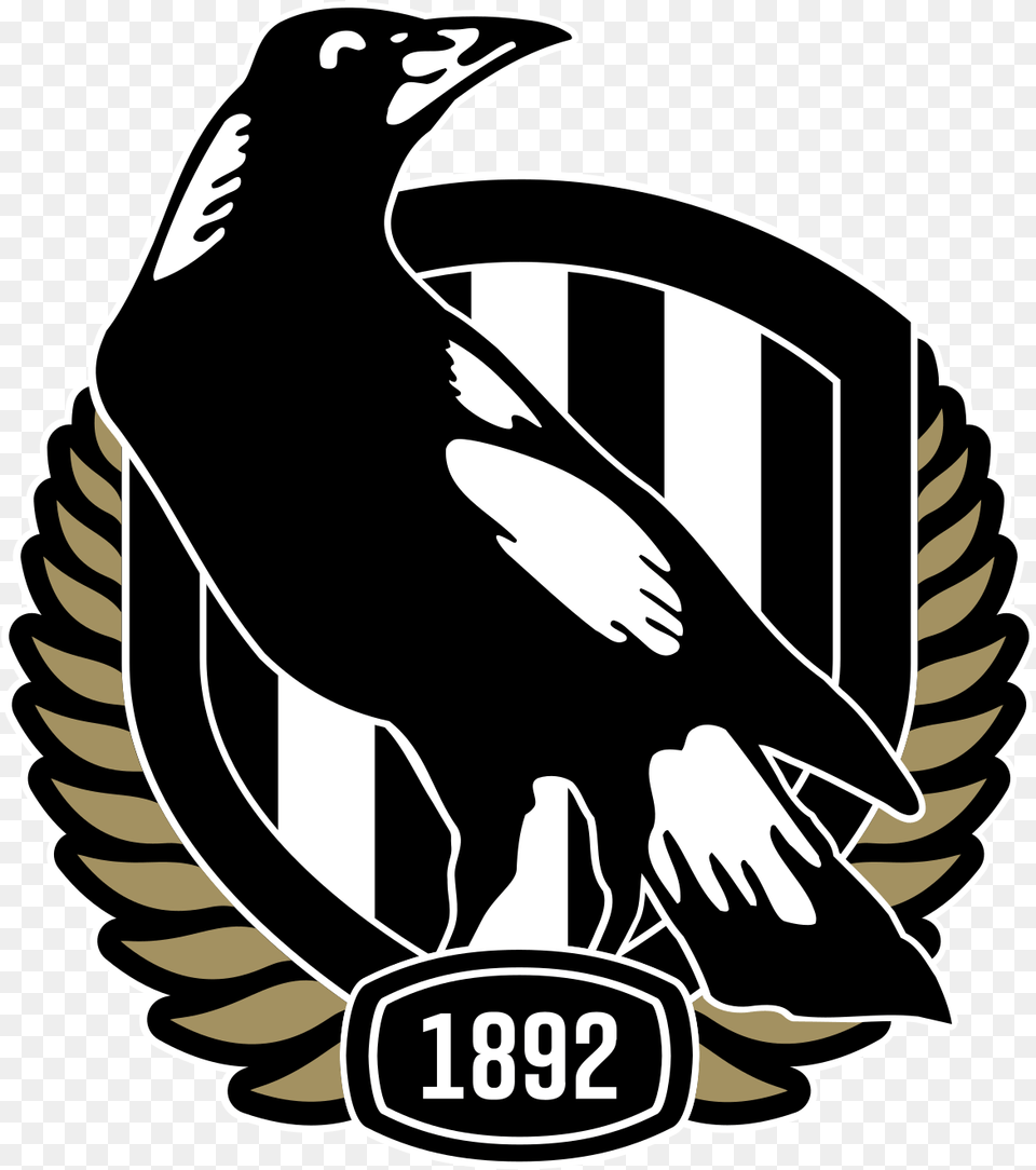 Claw Clipart Collingwood Afl Logo, Person, Animal, Bird, Magpie Png Image