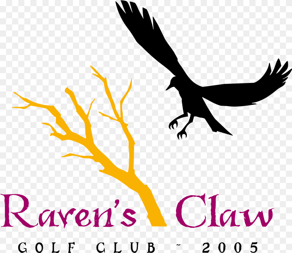 Claw Golf Course Pottstown Pa, Animal, Bird, Flying, Vulture Png Image