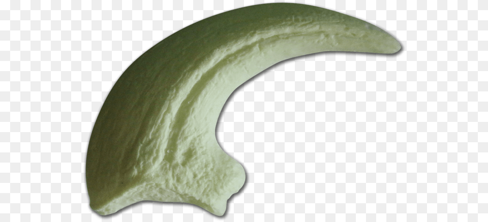 Claw Pic Raptor Claw, Food, Produce, Nut, Plant Png