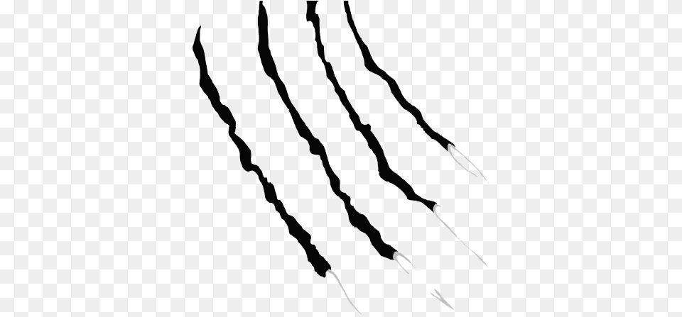 Claw Scratch, Bow, Weapon, Outdoors, Nature Free Transparent Png