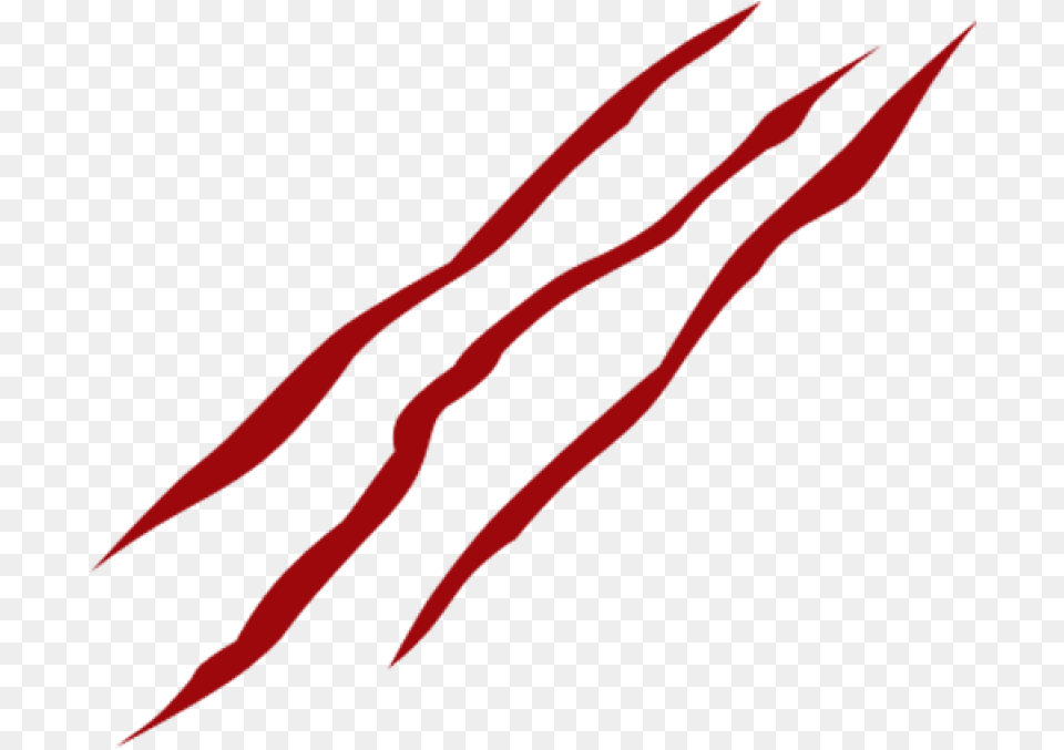 Claw Scratch, Bow, Weapon Free Transparent Png