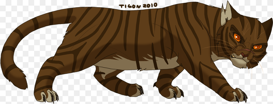 Claw Tigerstar Warrior Cats Tigerstar, Baby, Person, Animal, Cat Free Transparent Png