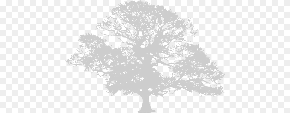 Claxton Grange Tierra Cultura Libertad Logo, Oak, Plant, Tree, Potted Plant Free Png Download