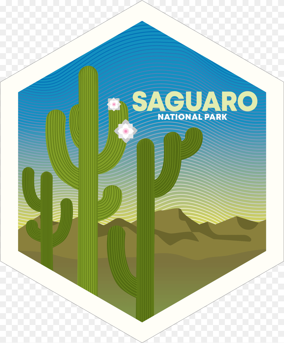 Clean Np Badge Illustration, Cactus, Plant Png