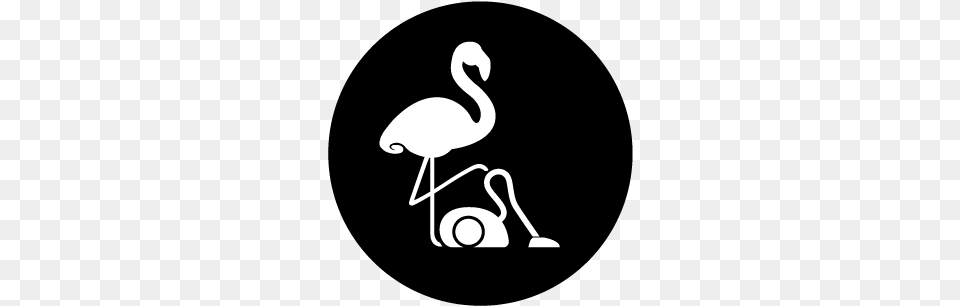 Cleanchris Bird, Animal, Flamingo Free Png