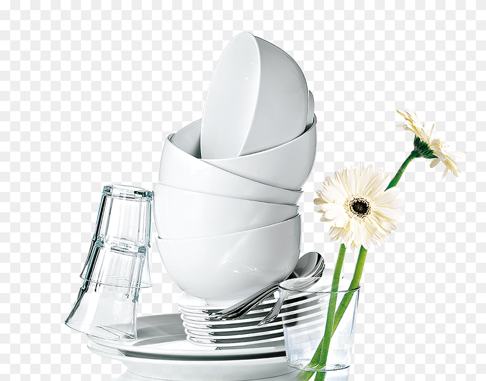 Cleaned Dishes Decanter, Daisy, Flower, Plant, Flower Arrangement Png Image