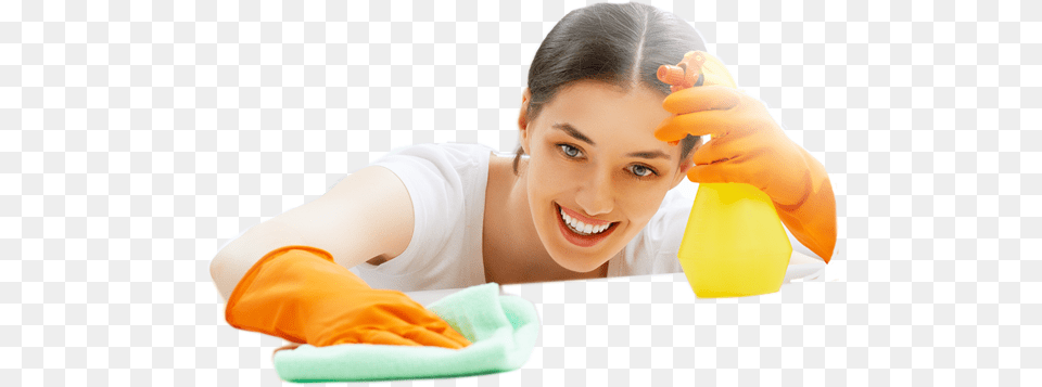 Cleaning Lady Dusting Lady Cleaning, Person, Adult, Woman, Female Free Transparent Png