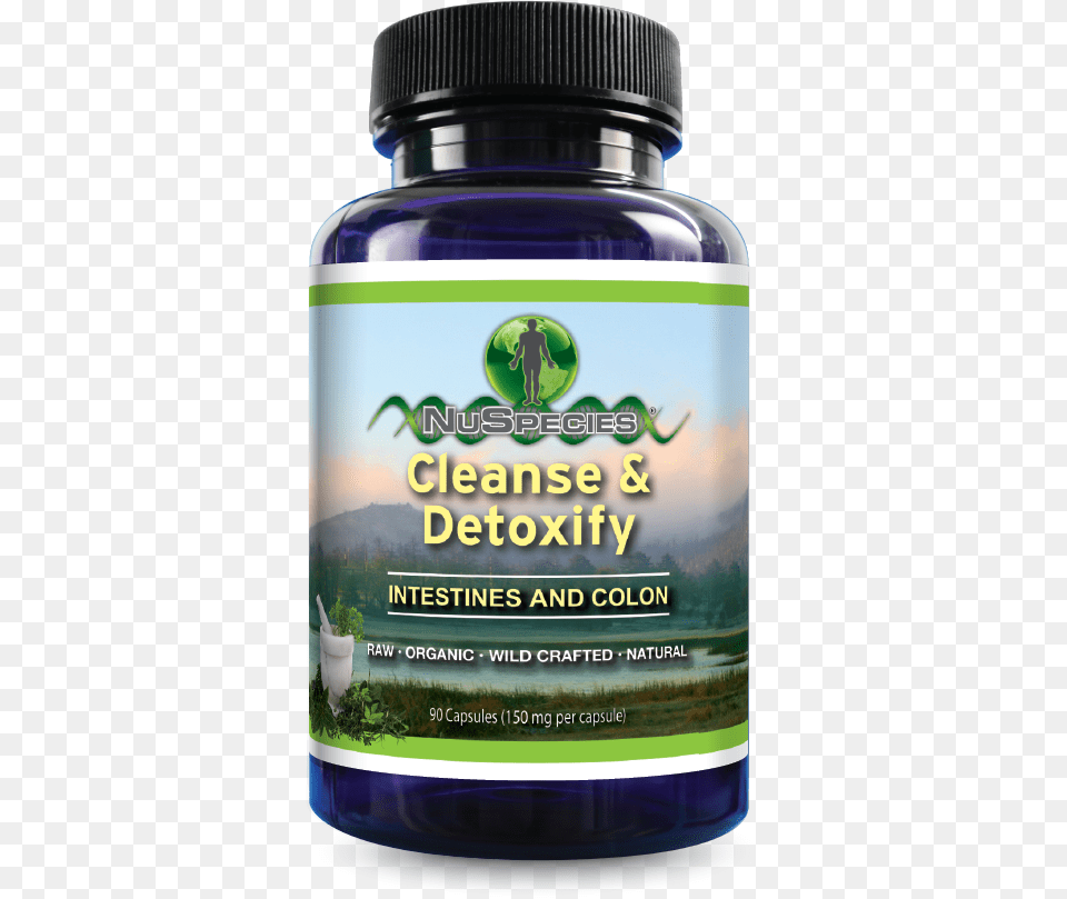 Cleanse Amp Detox Intestines And Colon Stallion, Herbs, Plant, Herbal, Astragalus Free Png Download