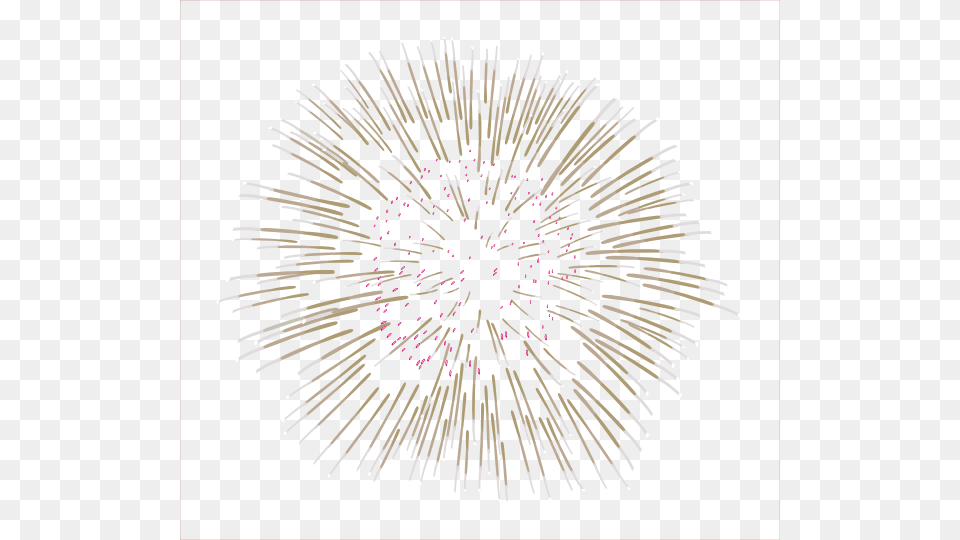 Clear Background White Fireworks Free Transparent Png