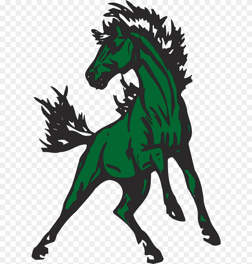 Clear Fork Colts Foxcroft Academy Pony, Person, Animal, Horse, Mammal Free Png Download