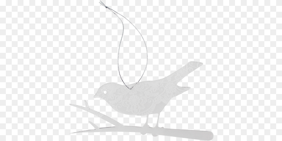 Clear Lace Christmas Robin Gull, Animal, Bird, Finch, Accessories Free Transparent Png