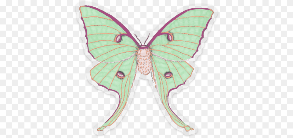 Clear Vinyl Luna Moth Sticker, Animal, Butterfly, Insect, Invertebrate Png Image