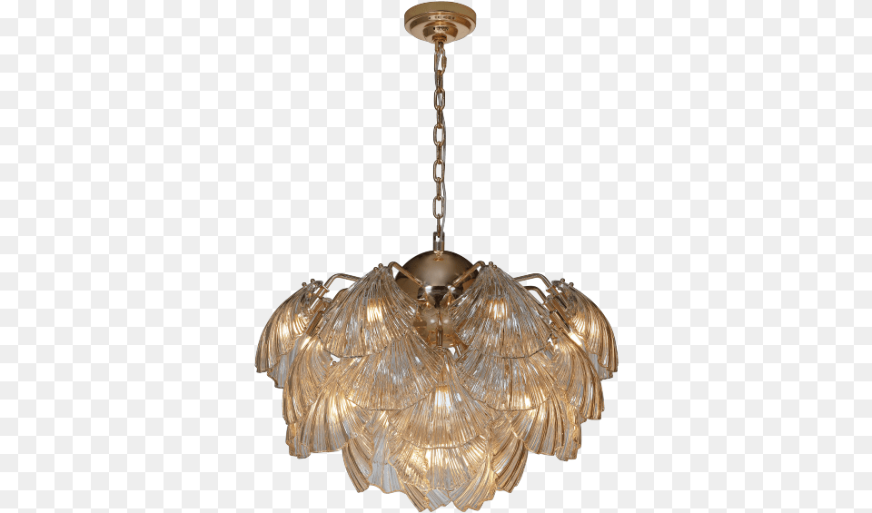 Clearpendant Lamp Line Concha Klighting By Candibambu Chandelier, Ceiling Light, Light Fixture Free Png Download