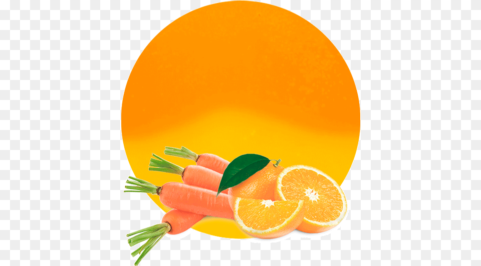 Clementine, Citrus Fruit, Food, Fruit, Plant Png Image