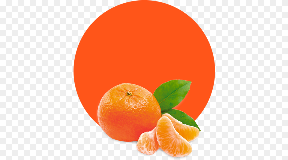 Clementine Oil Orange Fruit, Citrus Fruit, Food, Grapefruit, Plant Free Png