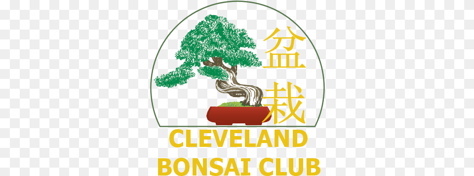 Cleveland Bonsai Club Summer Show Rockefeller Park Tree, Plant, Potted Plant, Vegetation Png Image