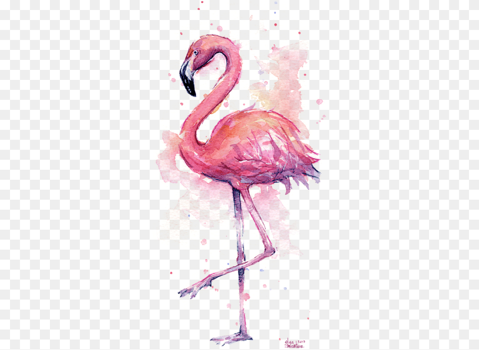 Click And Drag To Re Position The If Desired, Animal, Bird, Flamingo, Person Png Image
