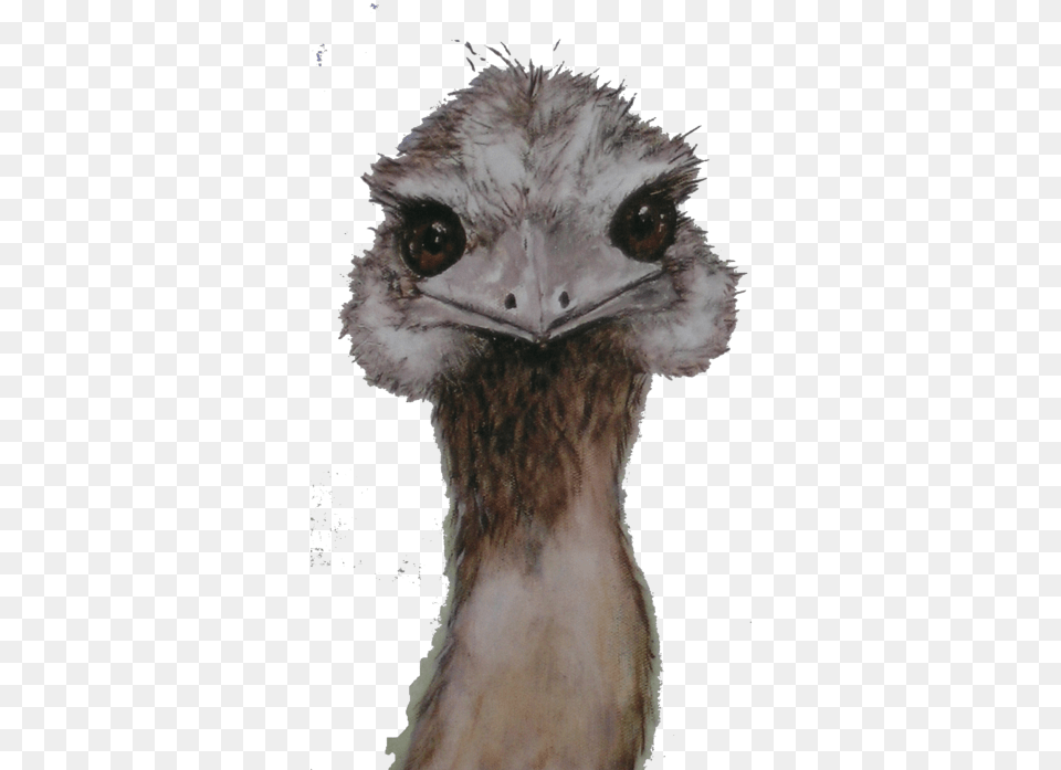 Click And Drag To Re Position The If Desired Painting, Animal, Bird, Emu Free Transparent Png