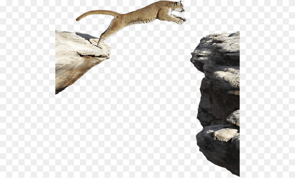 Click And Drag To Re Position The If Desired Stoat, Animal, Lion, Mammal, Wildlife Free Png