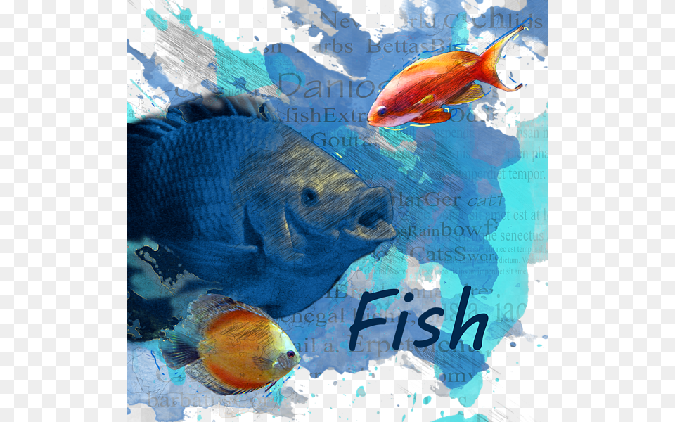 Click And Drag To Re Position The Image If Desired, Animal, Fish, Sea Life, Aquatic Png