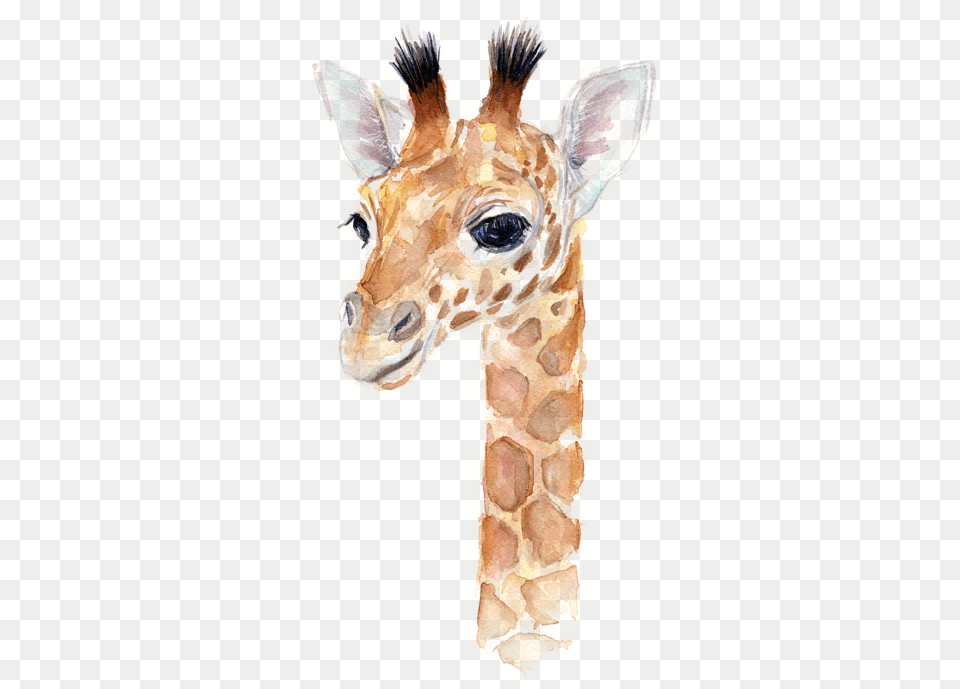 Click And Drag To Re Position The Image If Desired Baby Animal Watercolor Prints, Mammal, Person, Giraffe, Wildlife Free Png