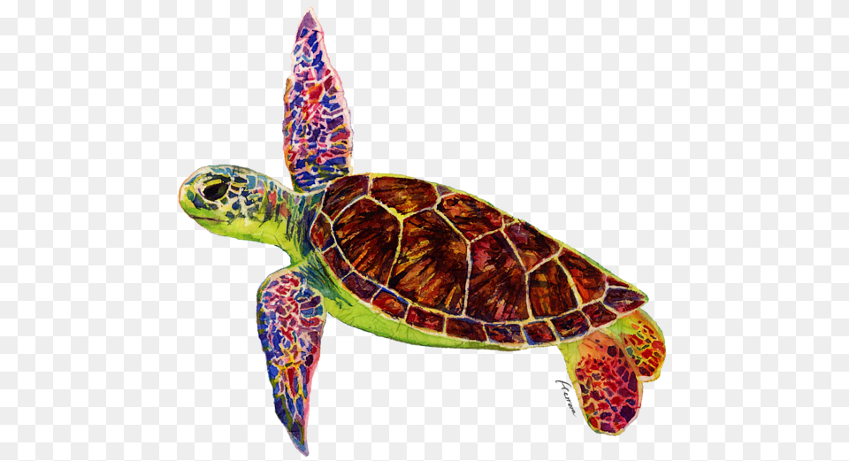 Click And Drag To Re Position The Image If Desired Boy, Animal, Reptile, Sea Life, Sea Turtle Free Png