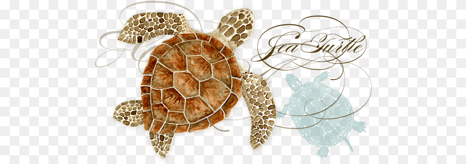 Click And Drag To Re Position The Image If Desired Counterart Sea Turtle Absorbent Coasters Set Of, Animal, Reptile, Sea Life, Sea Turtle Free Png