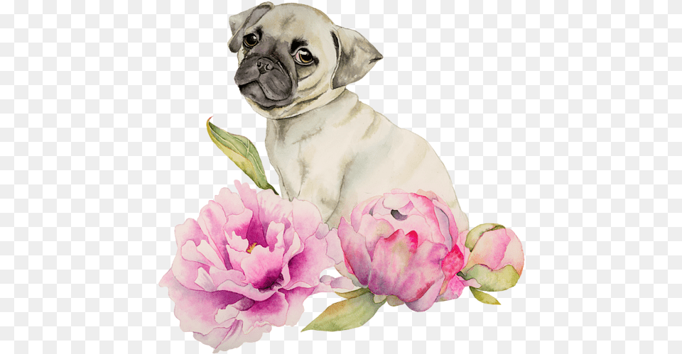 Click And Drag To Re Position The Image If Desired Happy Birthday Dog And Flower, Plant, Animal, Canine, Mammal Free Png Download