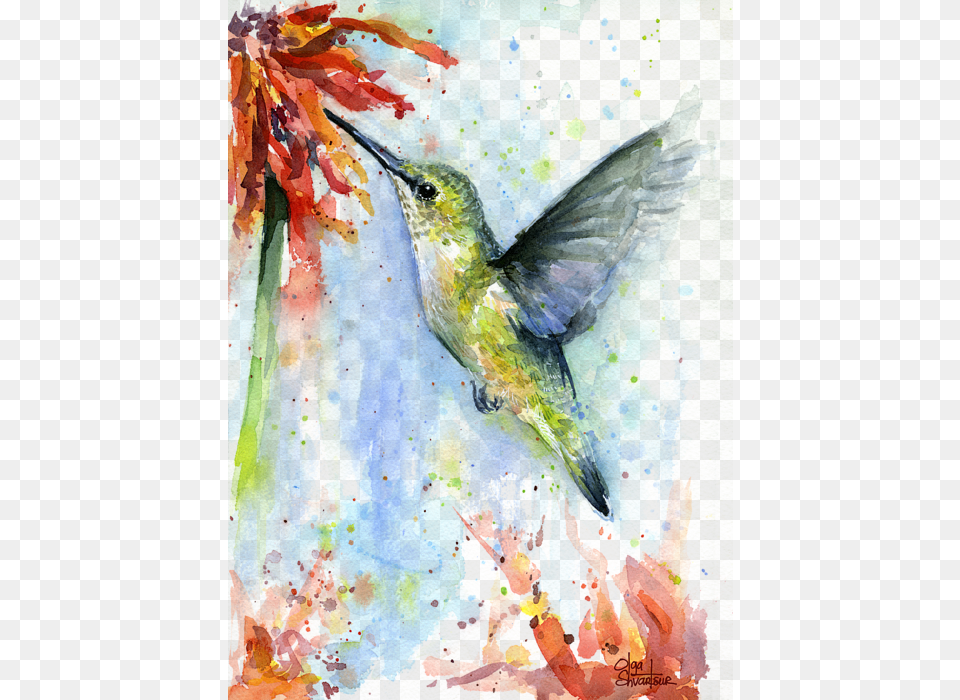 Click And Drag To Re Position The If Desired Hummingbird And Flower Watercolor, Animal, Bird, Beak Png Image