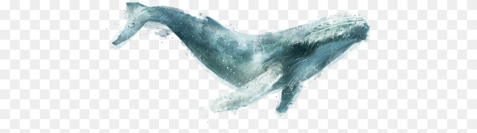 Click And Drag To Re Position The Image If Desired Humpback Whale Painting, Animal, Mammal, Sea Life, Fish Png