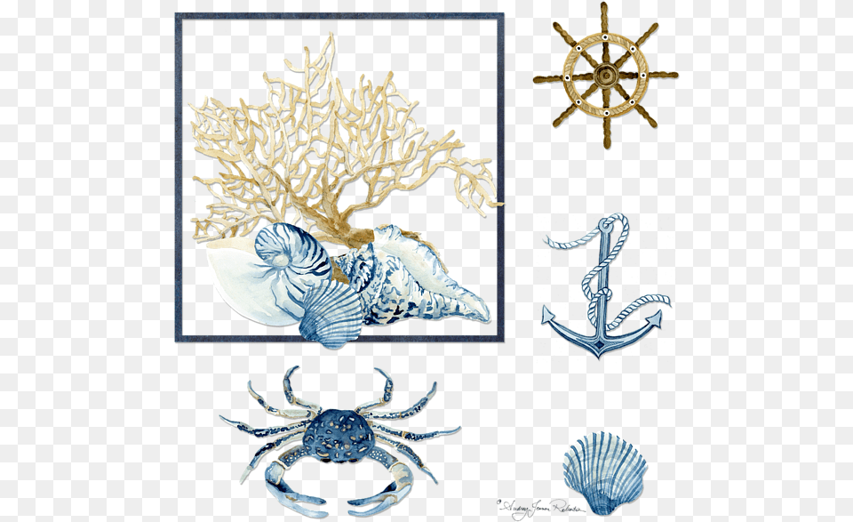 Click And Drag To Re Position The Image If Desired Indigo Ocean Coral Nautilus Triton Scallop Shells Indigo, Animal, Invertebrate, Spider, Sea Life Png