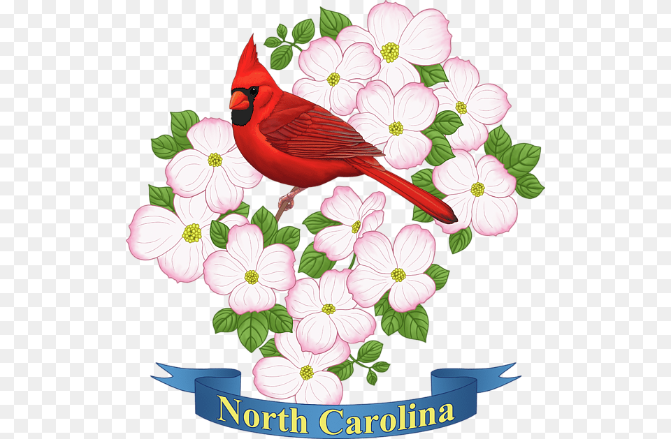 Click And Drag To Re Position The Image If Desired North Carolina State Bird And Flower, Animal, Cardinal, Plant Free Png Download