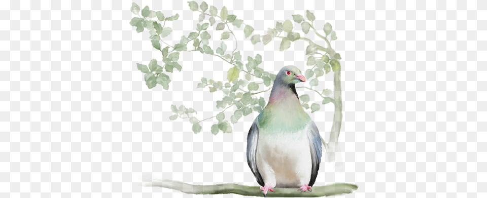 Click And Drag To Re Position The Image If Desired Printing, Animal, Bird, Pigeon, Dove Free Png