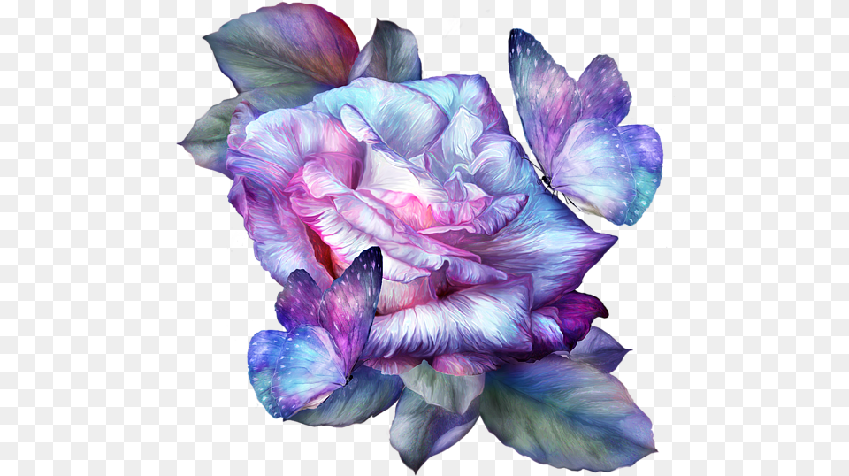 Click And Drag To Re Position The Image If Desired Rainbow Flower, Geranium, Petal, Plant, Rose Free Png