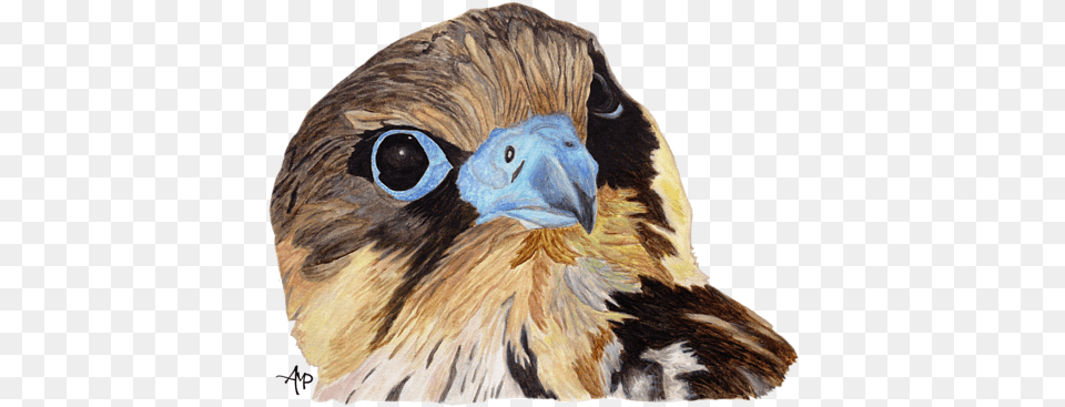 Click And Drag To Re Position The Image If Desired T Shirt, Animal, Beak, Bird, Hawk Png