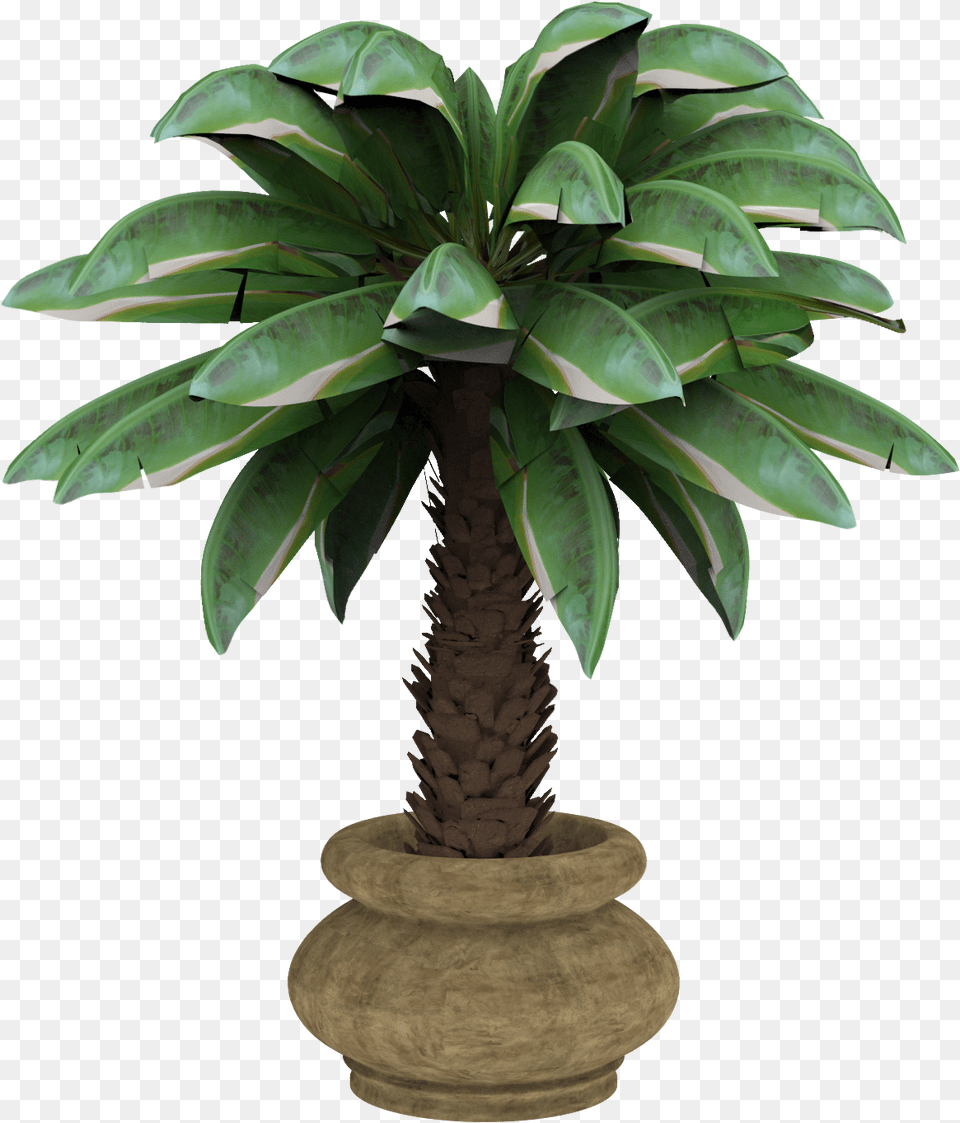 Click Banana, Leaf, Palm Tree, Plant, Potted Plant Free Transparent Png