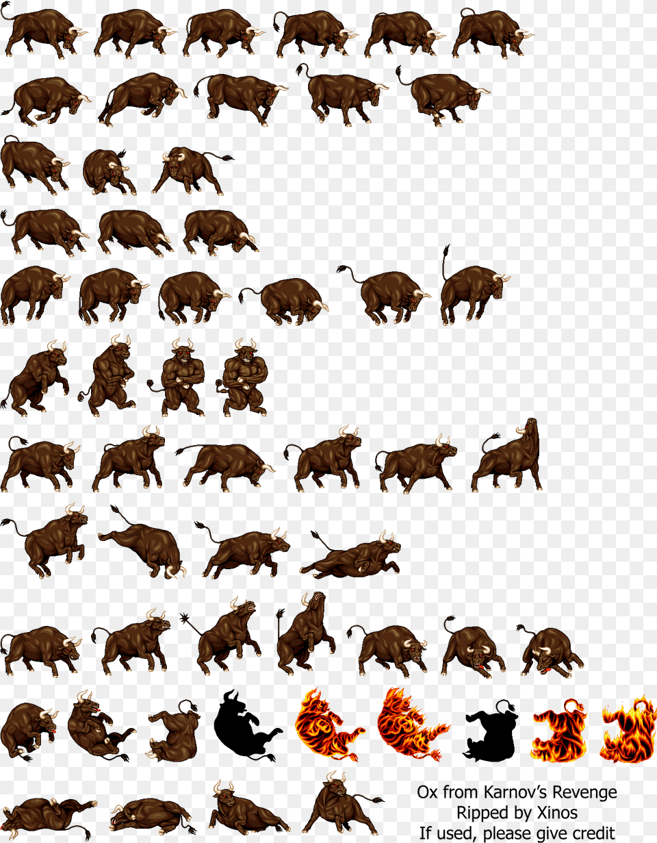 Click For Full Sized Ox, Person, Animal, Mammal, Livestock Free Png