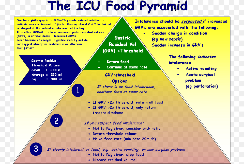Click Here For A Larger Viewicu Food Pyramid Andrew Mech, Advertisement, Poster, Triangle Free Transparent Png