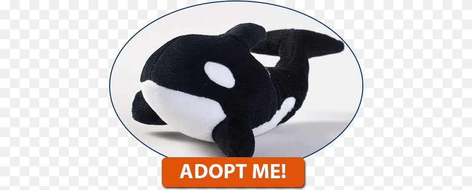 Click Here To Adopt An Orca Today Marine Conservation, Plush, Toy, Animal, Bear Png Image